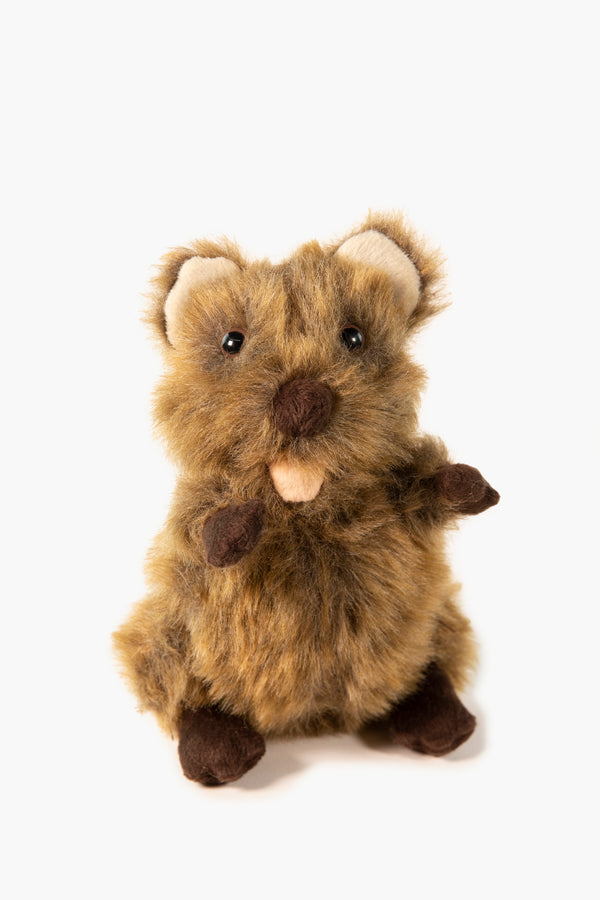 Soft Toy Quokka