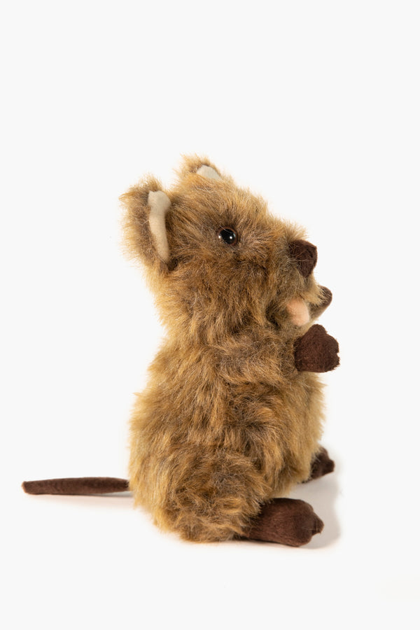 Soft Toy Quokka