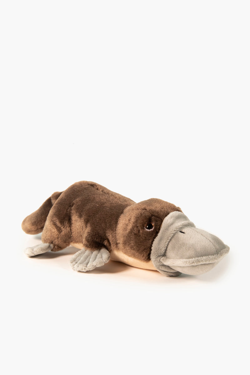 Soft Toy Platypus