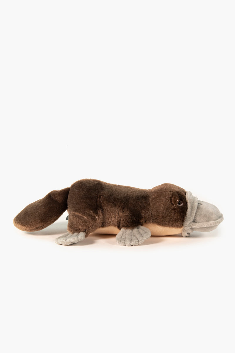 Soft Toy Platypus