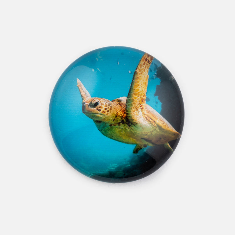 Cruise Whitsundays Crystal Dome Round Magnet Sea Turtle